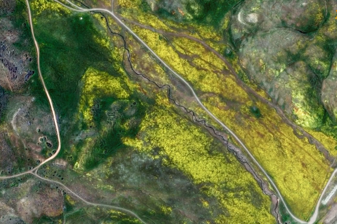 satellite image of California superbloom with bright yellow flowers visible from space