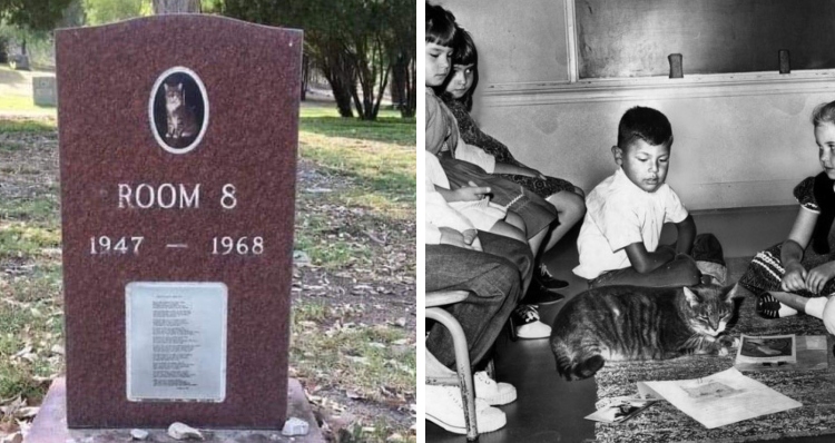 children with Room 8 in the 1960s, Room 8's gravestone.
