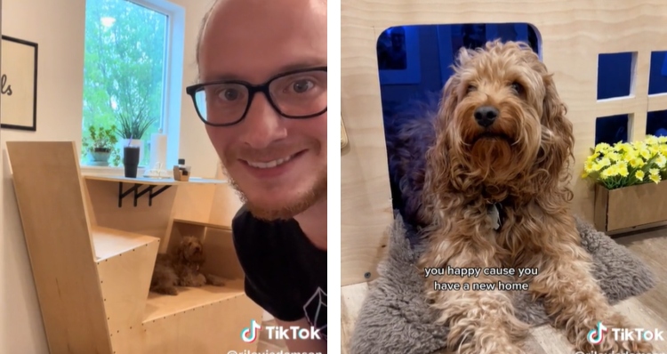 Riley Adamson and the apartment he built for his dog Pluto