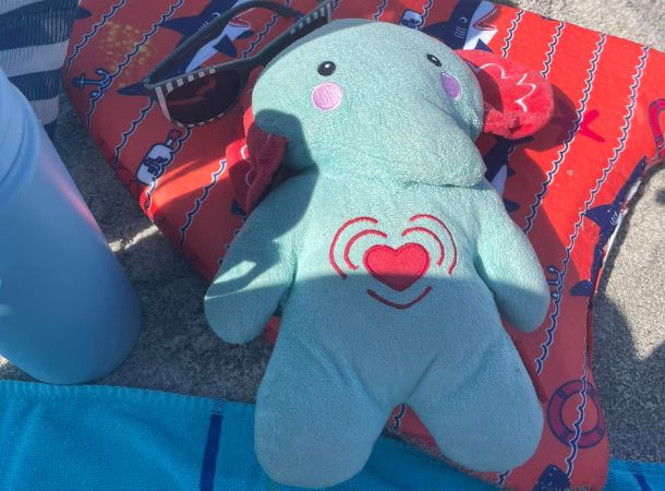 A stuffed elephant toy named Bruce has gone missing in Florida. 