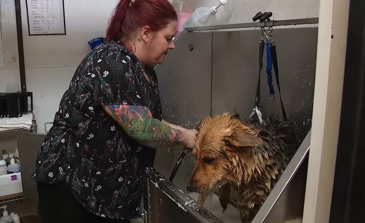 Nikki getting a bath