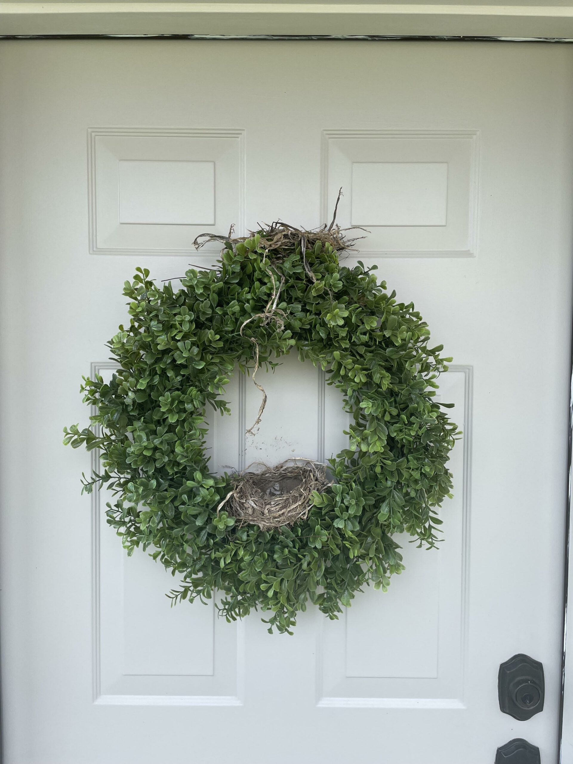two bird nests in a wreath