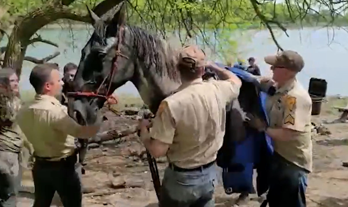 NYPD officers petting and comforting the horse they pulled from the mud