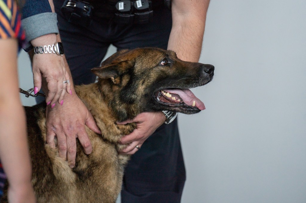 Patrol dog Cheeseburger is celebrating his retirement from service.