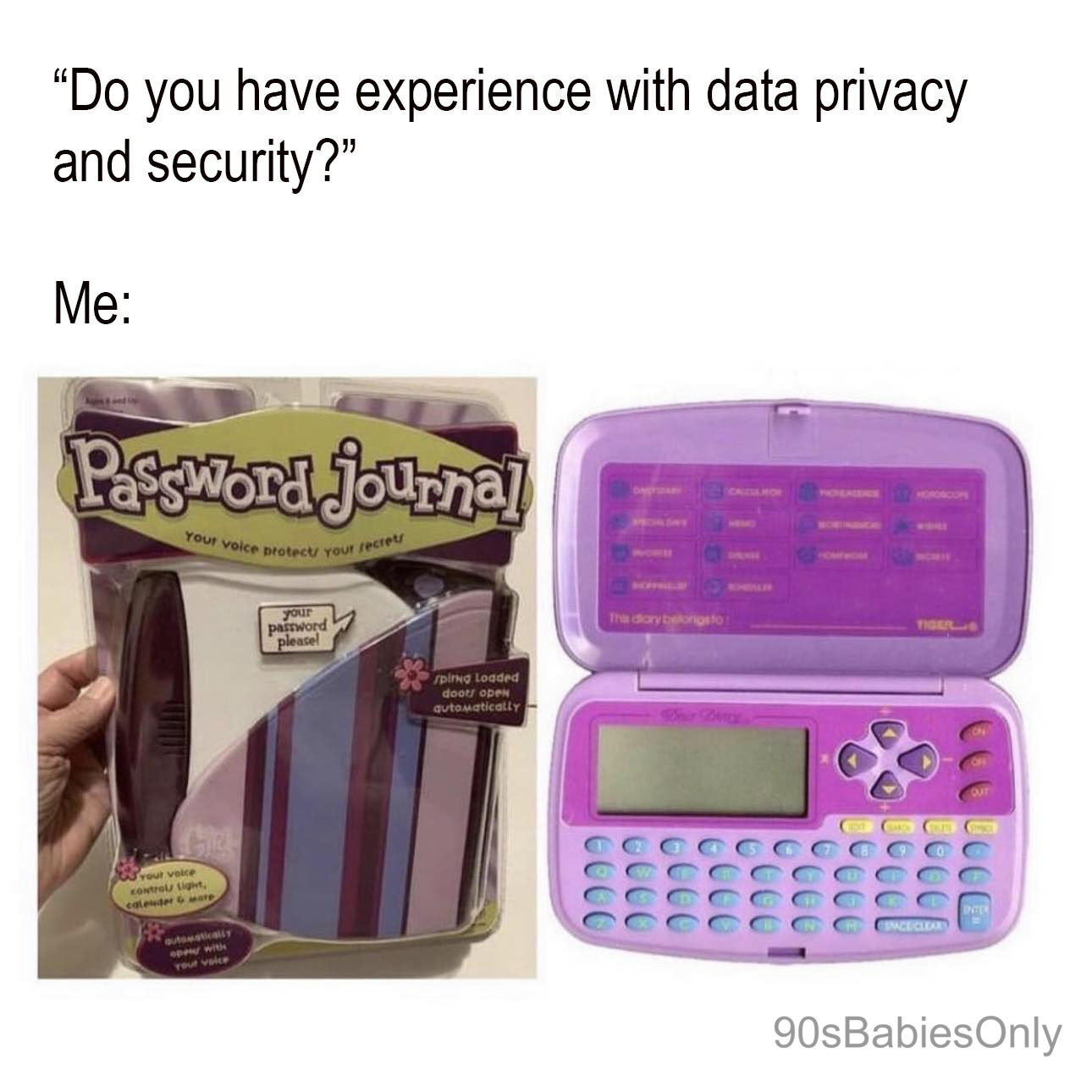 Text: "Do you have experience with data privacy and security?"

Me:
An image that shows a Password Journal and another similar device.