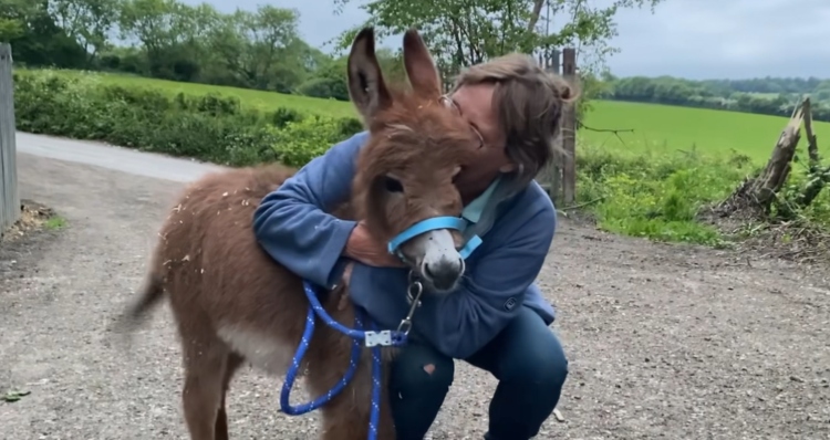 Owner of Miller's Ark kissing Moon the donkey