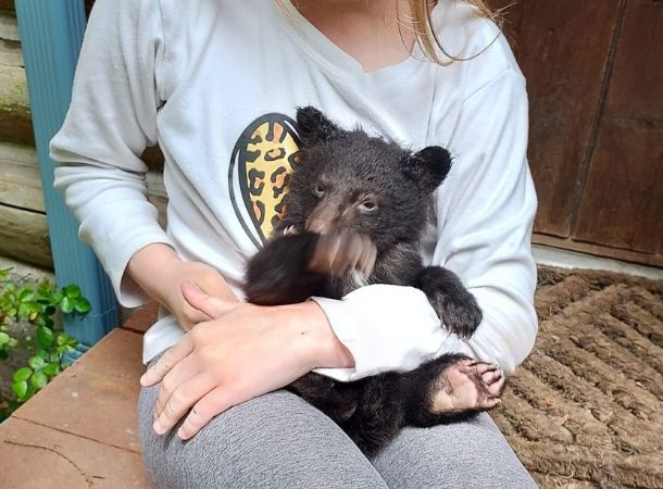 someone holding blackie the bear cub in their arms