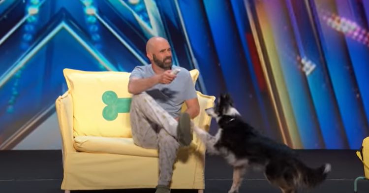 A dog and his trainer perform on "America's Got Talent."