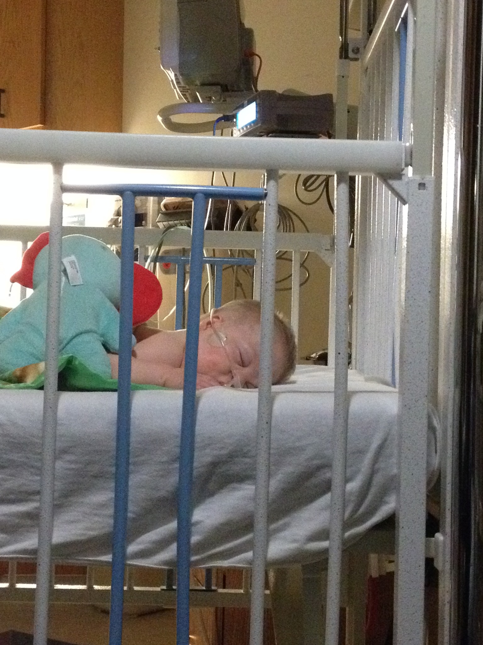Baby Gabryel hooked up to medical equipment and snuggled up to Bruce the stuffie