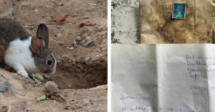 A two-photo collage. The first shows a small brown and white rabbit looks curiously into a rabbit hole. The second shows letters found by Sean Kennedy that are addressed to a person named Jane.
