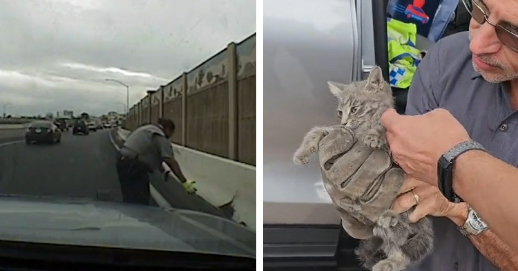 A two-photo collage. The first is of a trooper reaching out to grab a kitten on the side of a highway. Cars pass them nearby. The second photo is a close up of a man holding the kitty after she was rescued.
