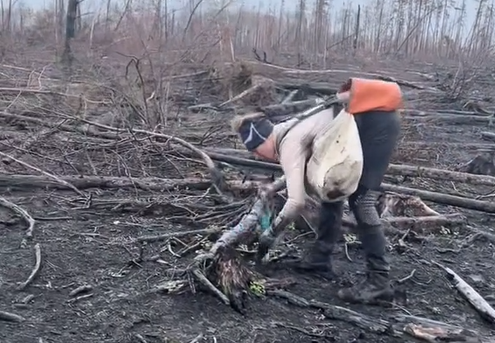 Leslie planted over 4,500 trees in just one day!