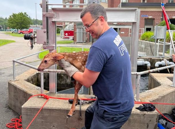A baby deer is rescued from a water tank.