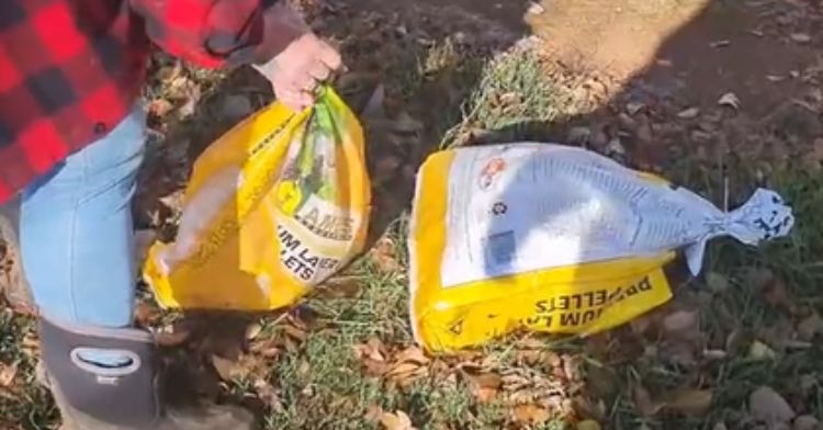 This woman found live roosters trapped in plastic bags.