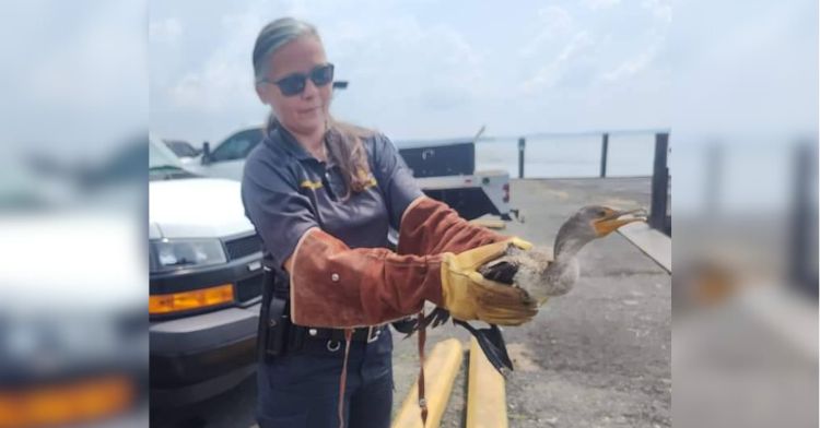 A bird had to be rescued after swallowing a fishing hook.