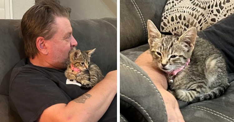 A two-photo collage. The first shows a man looking at something out of shot while sitting on a couch. A small kitten rests on his chest. The second photo is a close up of that same kitten, now sitting on a couch while the same man has an arm around her.