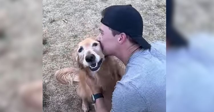This golden retriever couldn't find her dad!