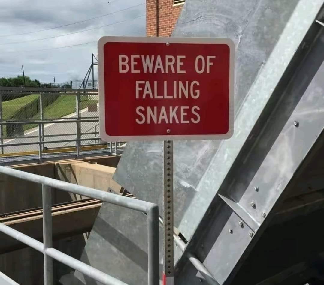A red sign that reads "Beware of falling snakes."
