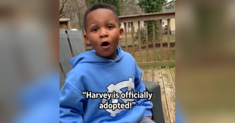 Little boy has his mouth open in shock. The words "Harvey is officially adopted" are in the image.