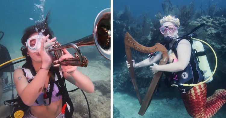 A two-photo collage. The first photo shows a diver dressed as a mermaid "playing" a harp underwater at the 39th annual Lower Keys Underwater Music Festival at Looe Key Reef. The second photo shows two divers dressed as mermaids pretend to play instruments together. One has a trumpet and the other has some type of guitar. They are a part of the 39th annual Lower Keys Underwater Music Festival at Looe Key Reef.