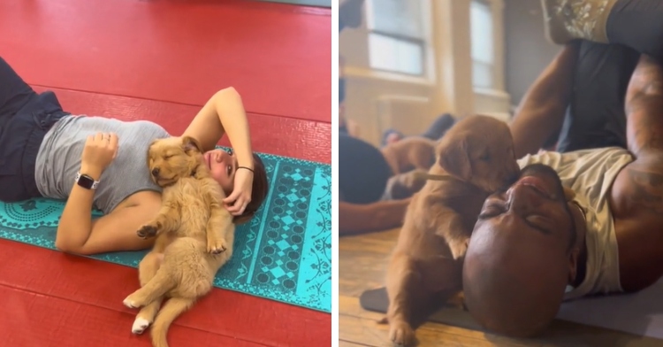 A two-photo collage. The first shows a woman laying down on her back on a yoga mat. With one hand she pets the golden retriever who is nuzzled up and asleep on her shoulder. The second photo shows a man laying on a yoga mat on his back. He smiles and laughs as a small puppy licks his beard.