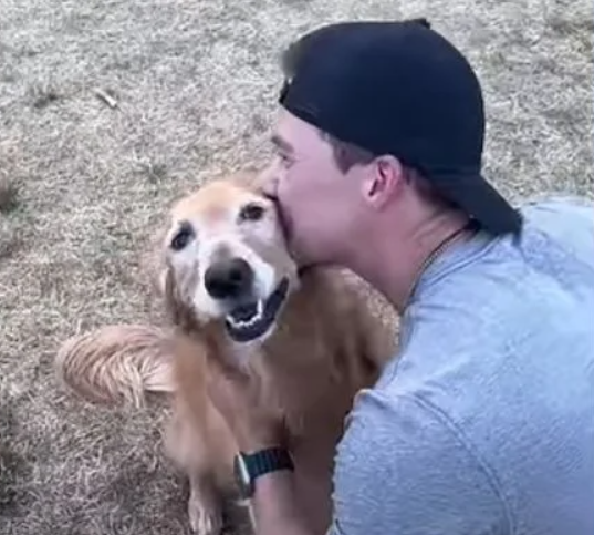 A dog looks up and smiles as her human dad kisses her on the cheek.
