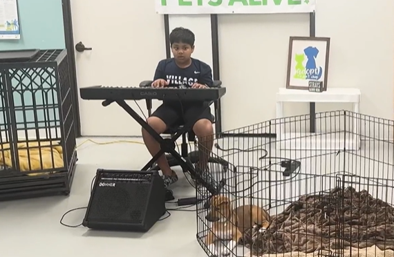 Yuvi plays the piano at the animal shelter once a week. 