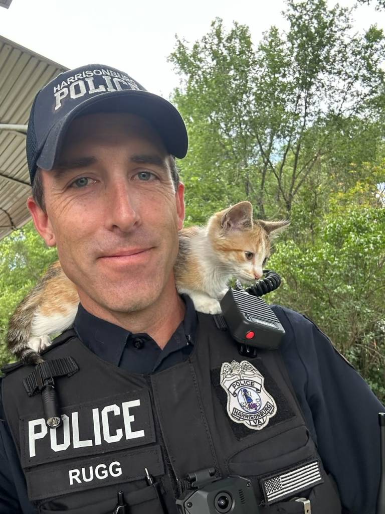 Police officer with kitten resting on his shoulder.