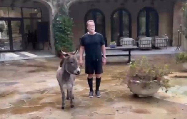 Arnold Schwarzenegger donkey