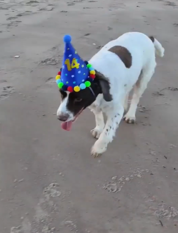 14-year-old Oscar in his birthday hat