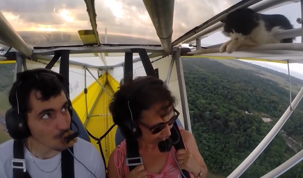 Ultralight pilot as he spots a cat inside the wing of his ultralight airplane during a flight.