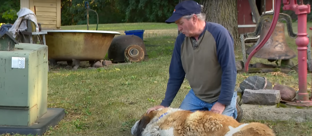 Rescued dog sleeping next to its owner.