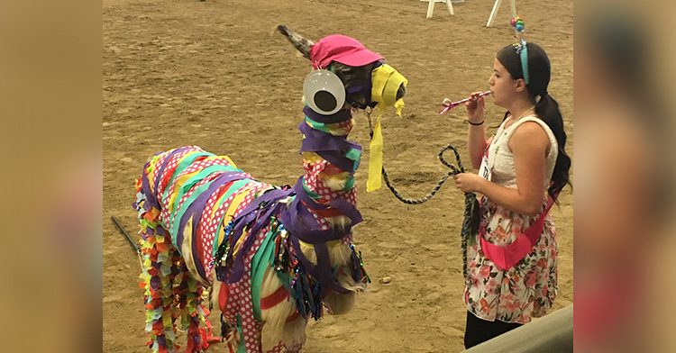 a girl in a costume next to an alpaca/llama in a costume