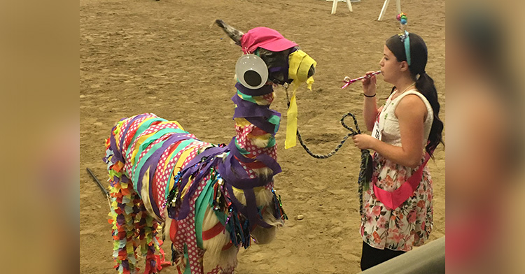 a girl in a costume next to an alpaca/llama in a costume