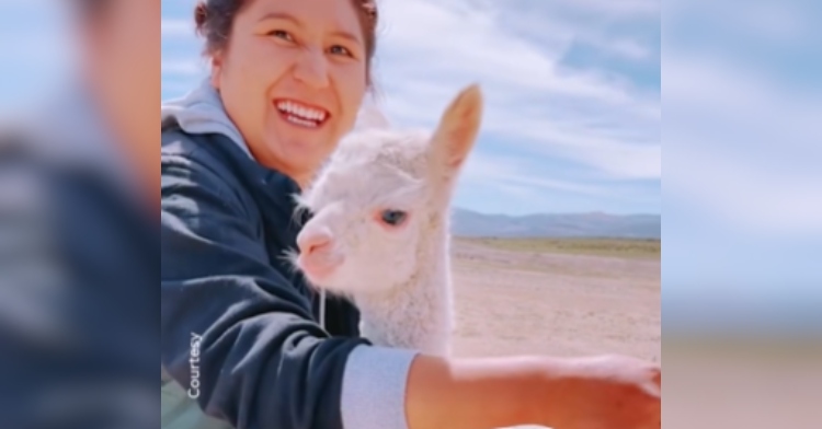 A woman smiles as she puts an arm around her baby alpaca.