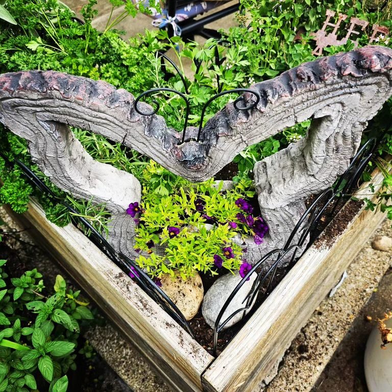 Butterfly sculpture in a garden marking its grave.