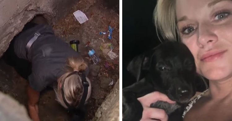 A two-photo collage. The first shows a top-down view of Callie crawling in the storm drain. Trash can be seen around her. The second photo shows a selfie of Callie smiling as she holds one of the rescued black lab mixes up to her face.