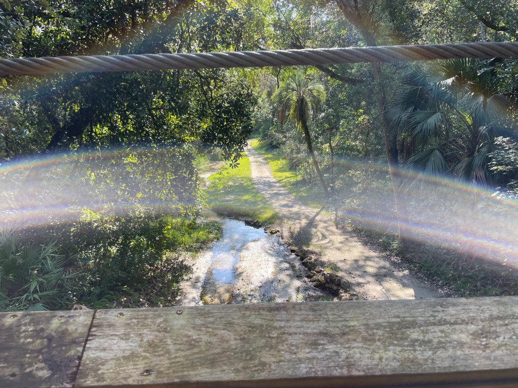 view from bridge at ravine gardens state park