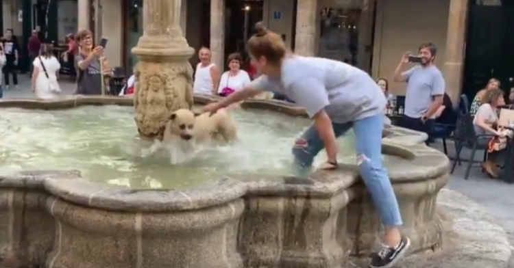 A woman has one foot on dry land and the other in a fountain as she reaches for her dog who is splashing around. It looks like he may be just out of reach.