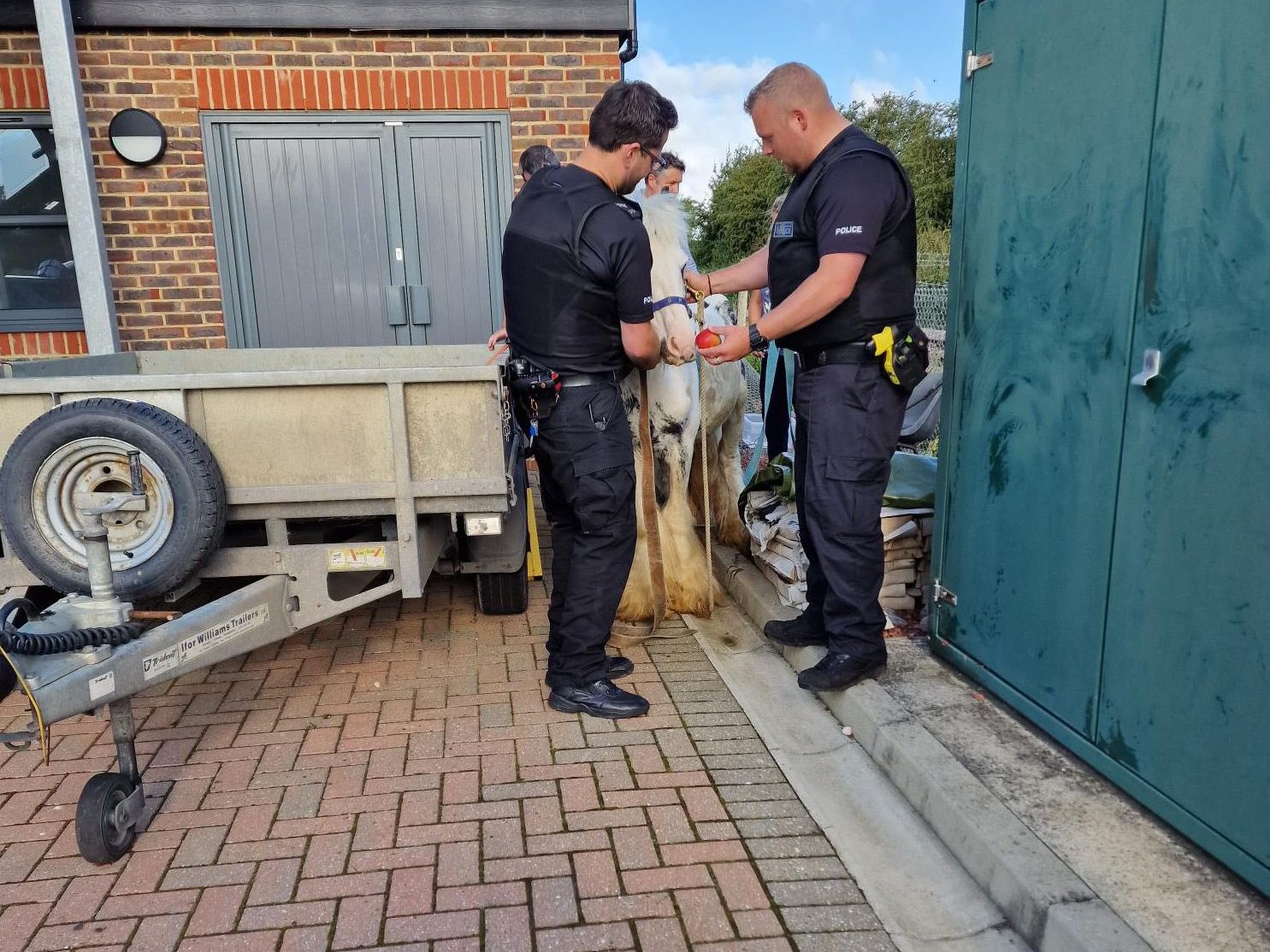 officers feed horse apple