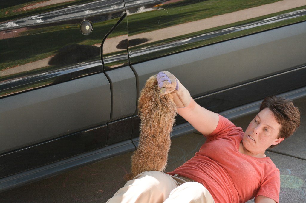Someone on the ground next to a car, holding a marmot apprehensively 