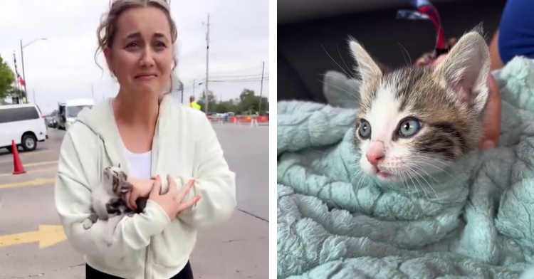 A two-photo collage. The first shows a woman looking emotional as she holds a tiny kitten in her arms. The second photo shows a close up of that same kitten, now wrapped in a blanket on someone’s lap as they sit in a car.