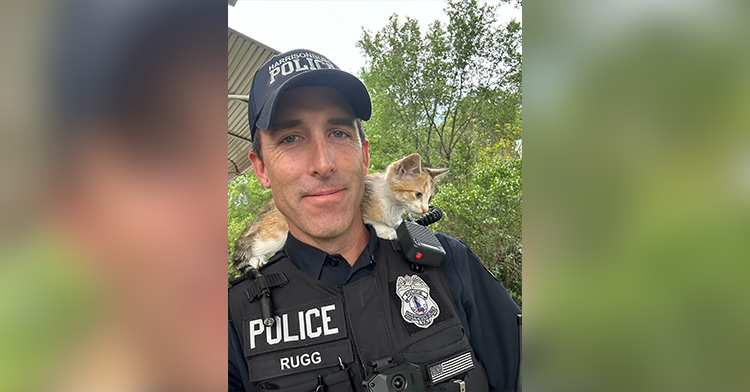 Police officer in uniform with kitten resting on his shoulder.