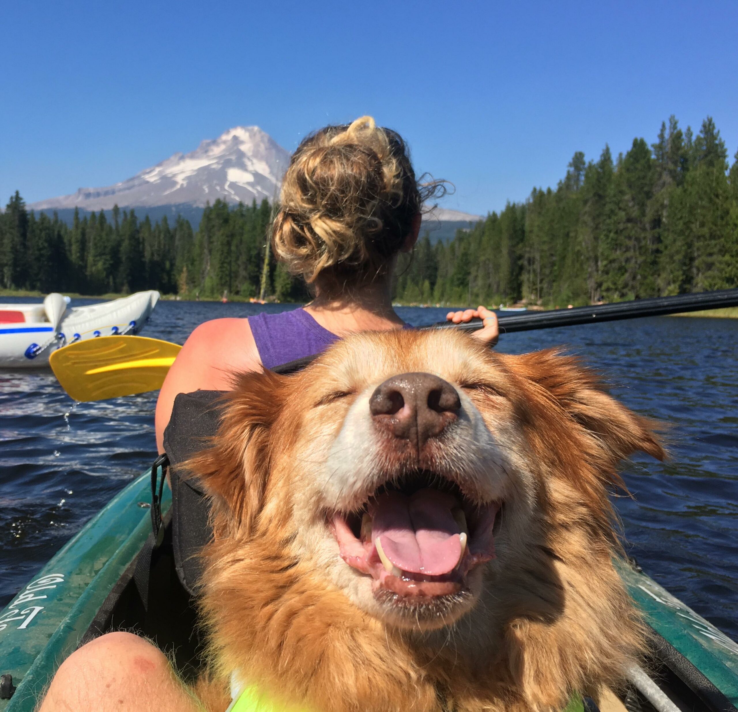 A smiling dog sits with her eyes closed and mouth open on a canoe with trees and a large mountain in the distance.
