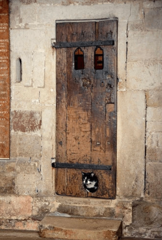 The door at the Exeter Cathedral containing what is believed to be the oldest existing cat flap. A black and white cat is inside the building and is sticking their head out of the hole.