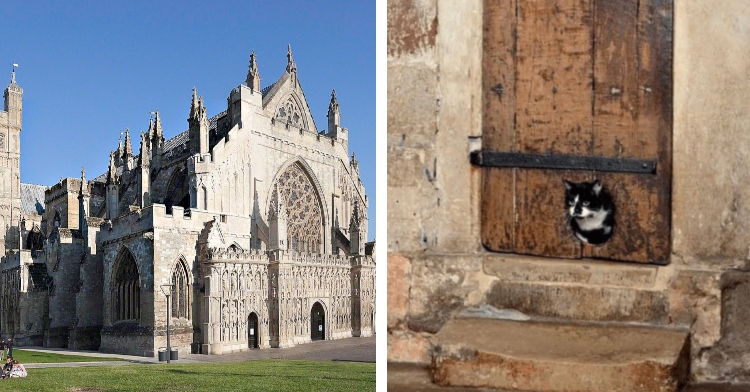 A two-photo collage. The first shows the Exeter Cathedral. The second phot shows a door at the Exeter Cathedral containing what is believed to be the oldest existing cat flap. A black and white cat is inside the building and is sticking their head out of the hole.