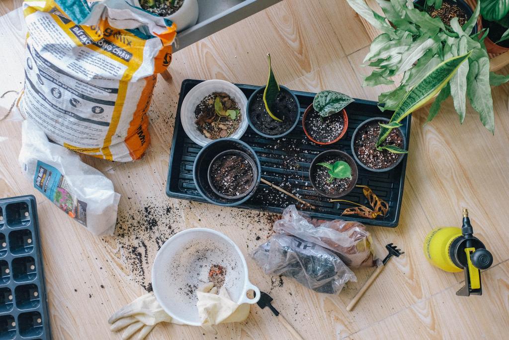 Top-down view of gardening tools and small pots with dirt and growing plants.