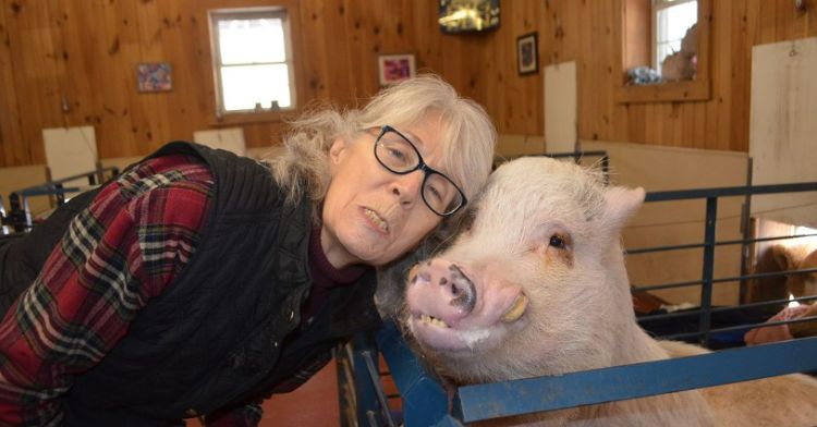 Susan poses with a potbellied pig on her farm.