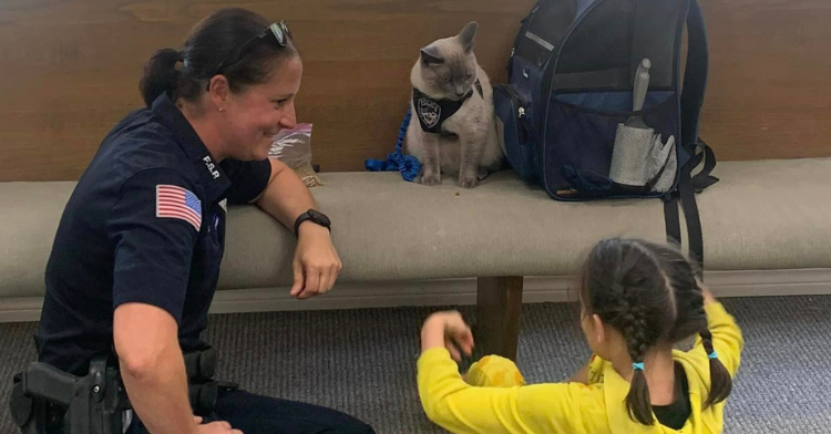 Police cat with children.