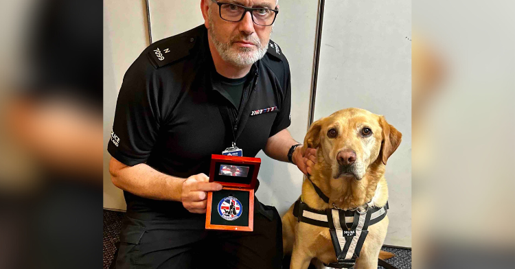 Police dog Thor wins a medal.
